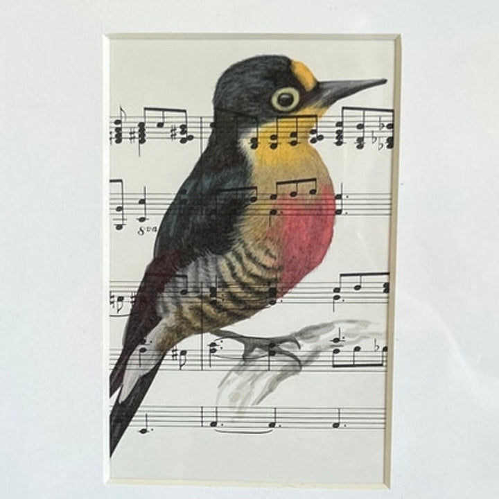 Handmade Upcycled Vintage Sheet Music Yellow Fronted Woodpecker Bird Wall Art