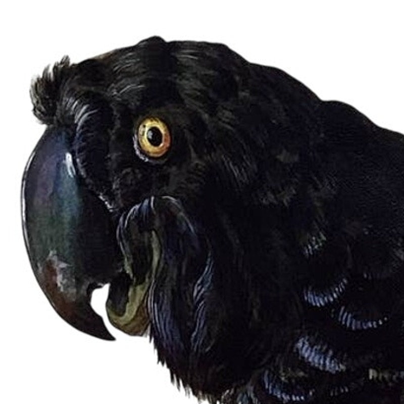 Upcycled Hand Printed Black Parrot Vinyl Tote Bag Ukraine Artist Fundraiser