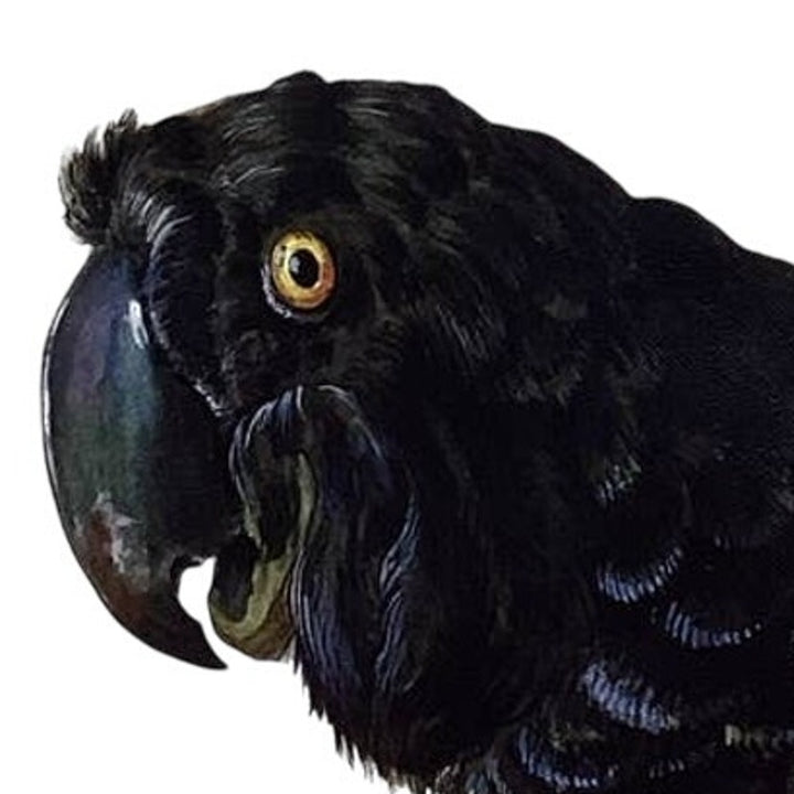 Upcycled Hand Printed Black Parrot Vinyl Tote Bag Ukraine Artist Fundraiser