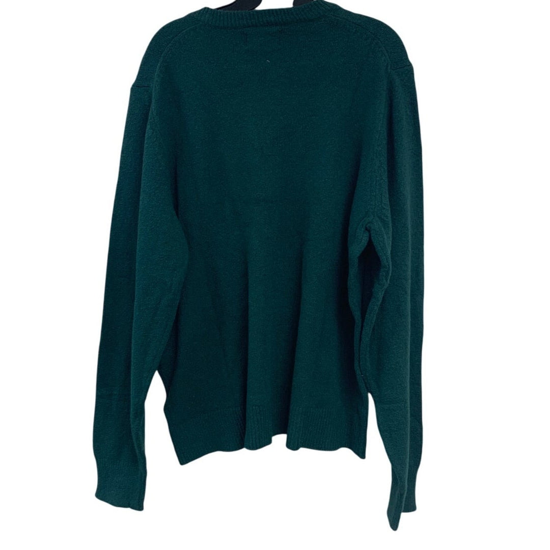 New American Eagle Womens Medium Dark Emerald Long Sleeve V Neck Knit Sweater