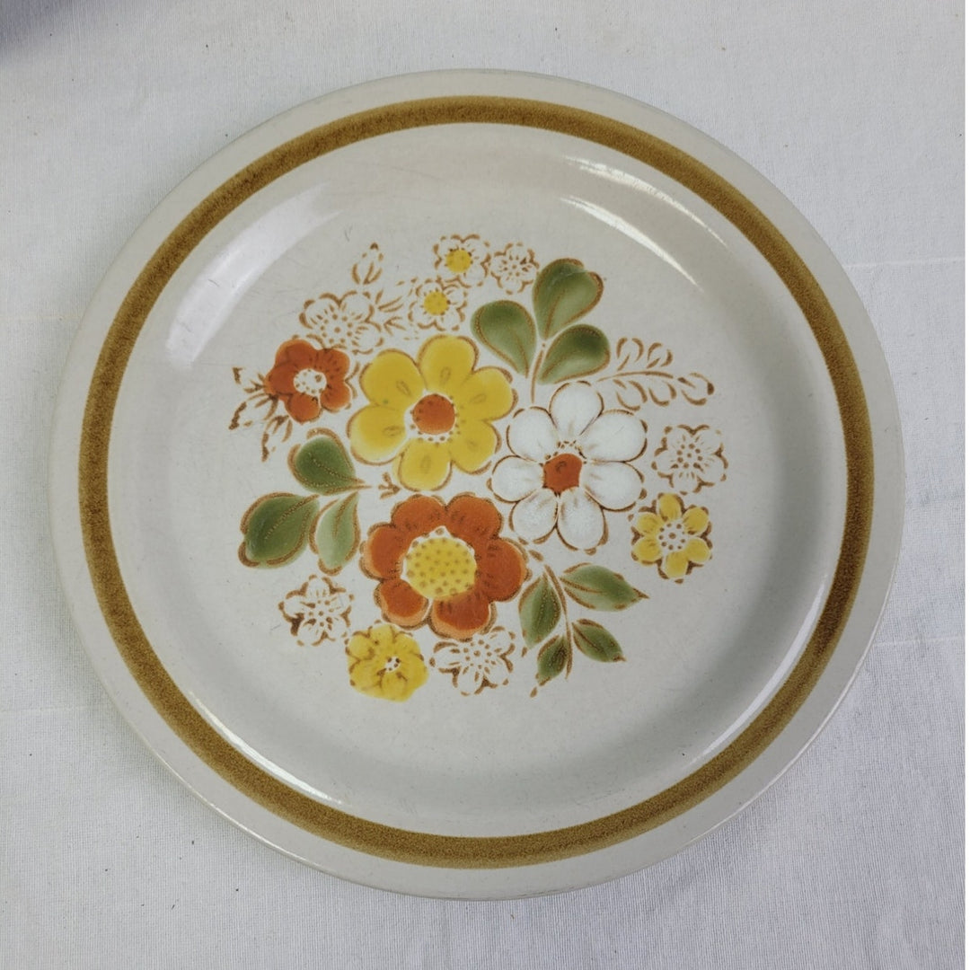 2 Vintage Pebble Stone American Hearthside Floral 10" Dinner Plates w Chip