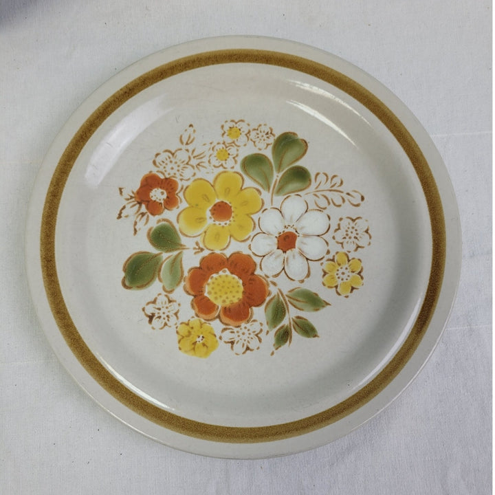 2 Vintage Pebble Stone American Hearthside Floral 10" Dinner Plates w Chip