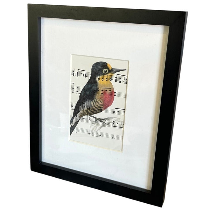 Handmade Upcycled Vintage Sheet Music Yellow Fronted Woodpecker Bird Wall Art