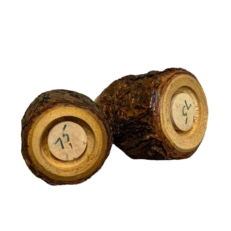 Vintage Wood Tree Ranier National Park Souvenir Salt Pepper Shaker Set