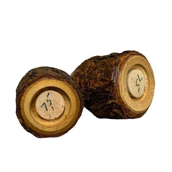 Vintage Wood Tree Ranier National Park Souvenir Salt Pepper Shaker Set