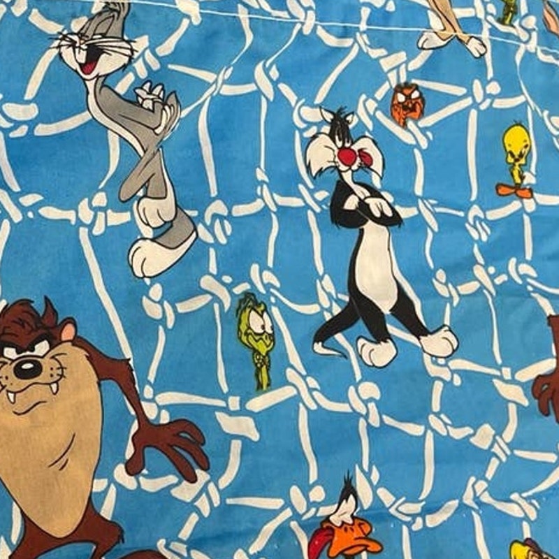 Vintage 1996 Warner Bros Taz Sylvester Tweety Daffy Bugs Bunny Curtain Valance
