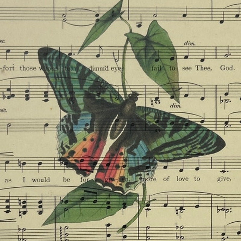 Handmade Upcycled Butterfly Printed on Vintage Sheet Music No Glass 8X10&