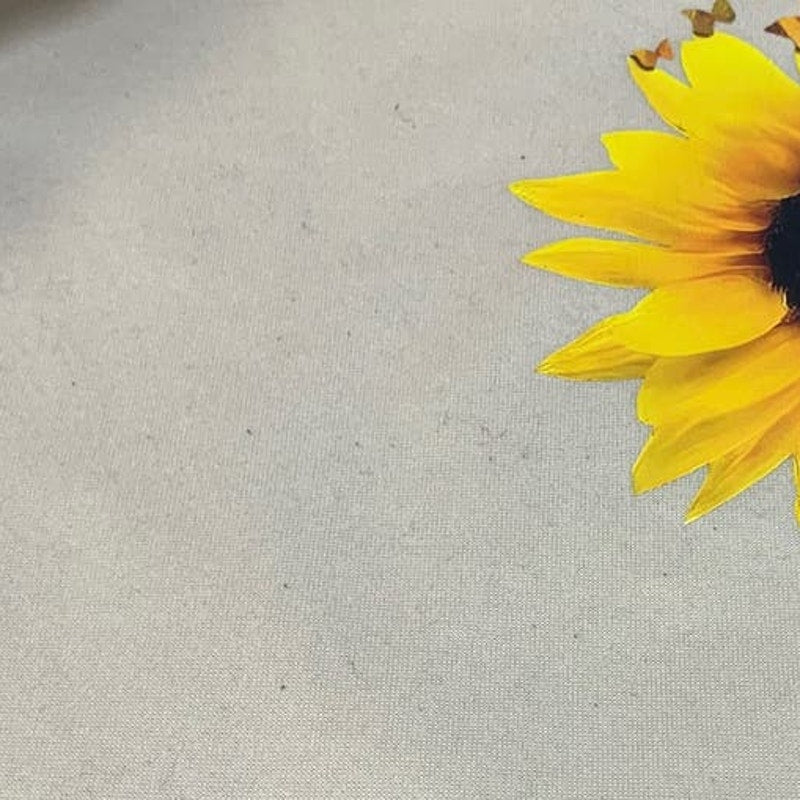 Womens Small Sunflower Butterfly Petal 100% Polyester Long Sleeve Sweatshirt