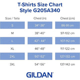 2 Gildan Mens 2XL Softstyle Cotton Blend Heather Short Sleeve Crew Neck T Shirt