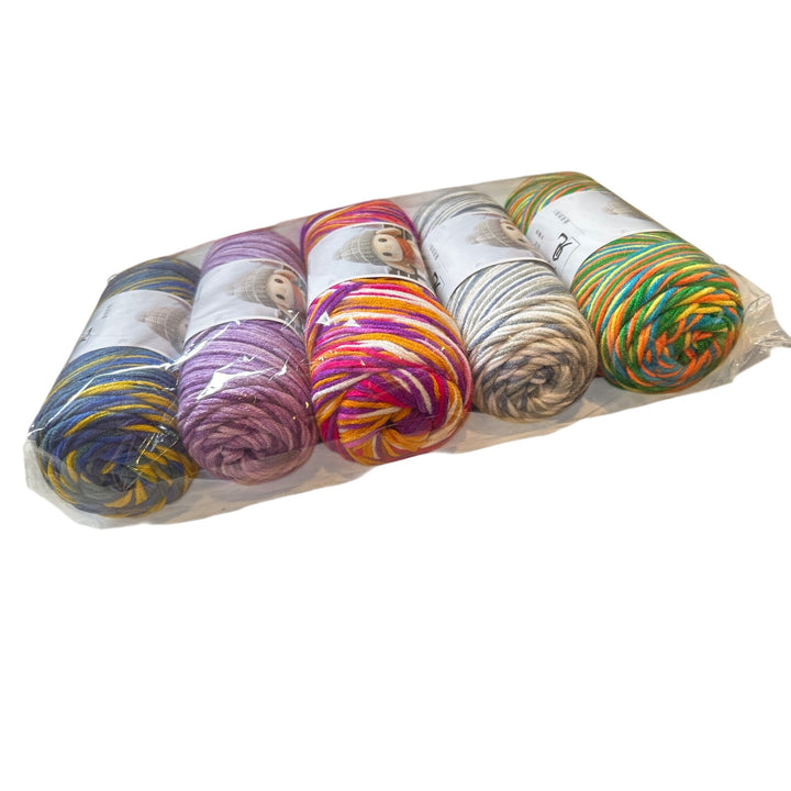 New Crochet Craft Kit with 7 Hooks &amp; 5 Skeins Variegated Yarn