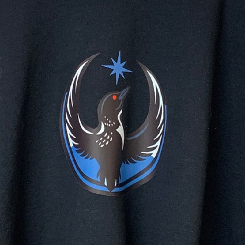 New Hand Printed Mens 4XL Minnesota Rebel Alliance Bird Anti-Ice Protest Hoodie