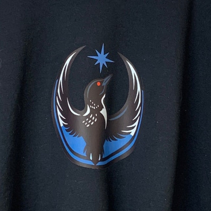 New Hand Printed Mens 4XL Minnesota Rebel Alliance Bird Anti-Ice Protest Hoodie