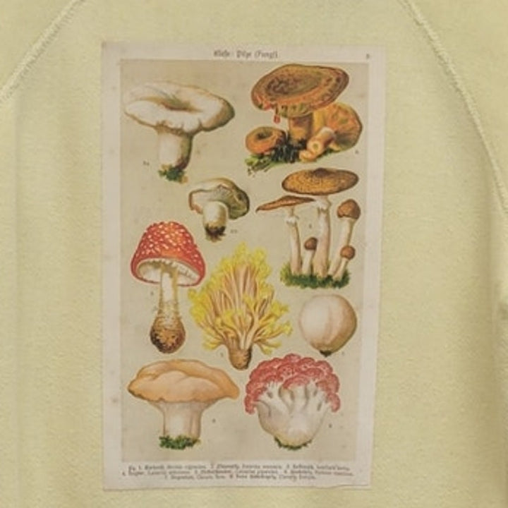 Hand Printed Upcycled Womens Medium Vintage Reference Book Mushroom Sweatshirt