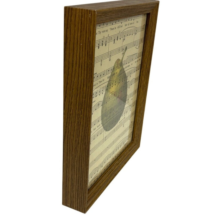 Upcycled Dark Academia Pear Printed on Vintage Sheet Music Wood Frame w Glass