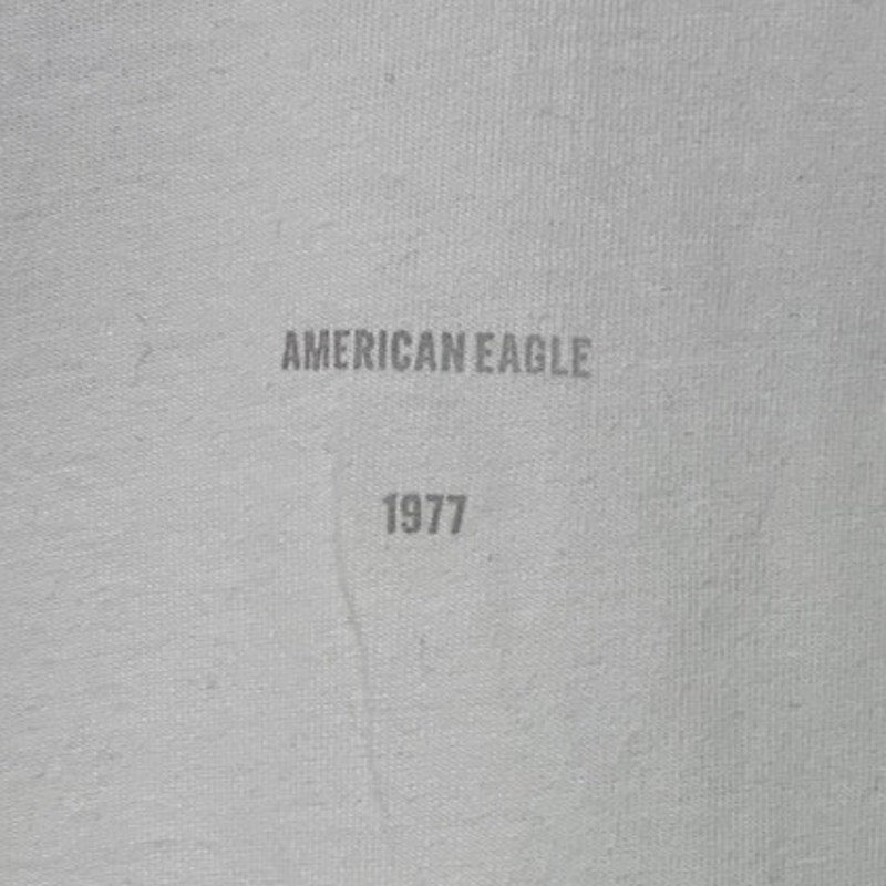 New American Eagle Mens Medium Boxy Fit Taos NM Short Sleeve Tee Shirt