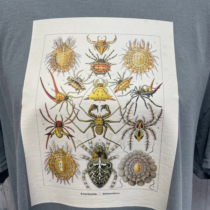 Hand Printed Upcycled Mens 2XL Vintage Book Page Arachnid Spider Crew Neck Tee