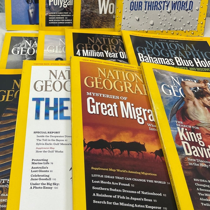 2010 National Geographic Magazine FULL Year 12 Issues W Maps Supplements