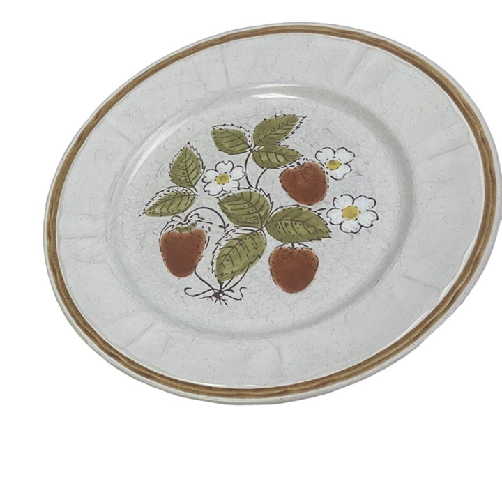 Set of 4 Vintage Handpainted Americana Hearthside Stoneware Berries N Cream