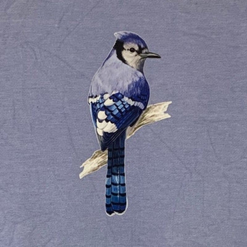 Upcycled Hand Printed Womens Small Blue Jay Bird Long Sleeve Sweatshirt