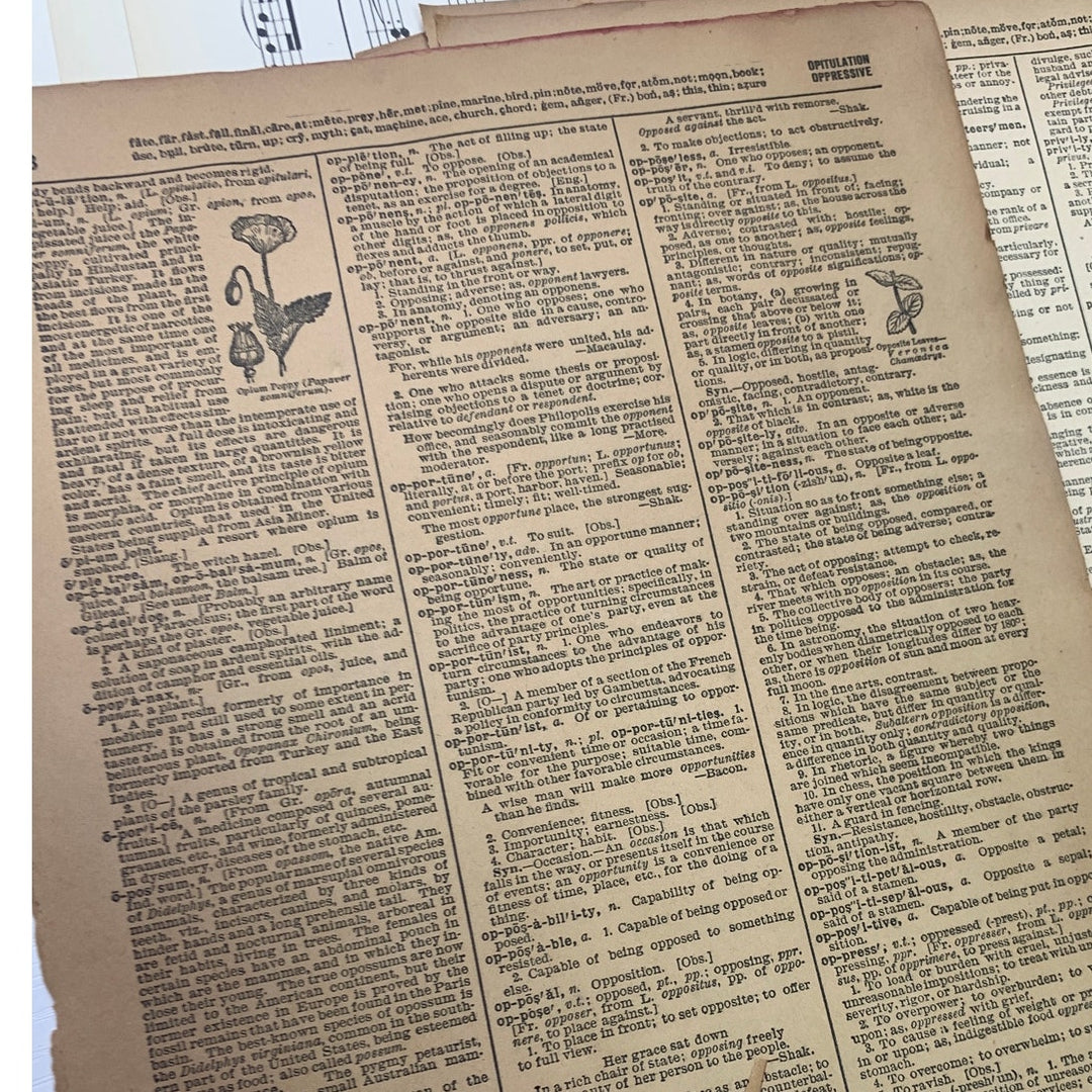 40+ Vintage Sheet Music Dictionary Pages for Scrapbooking Card Making Craft Lot