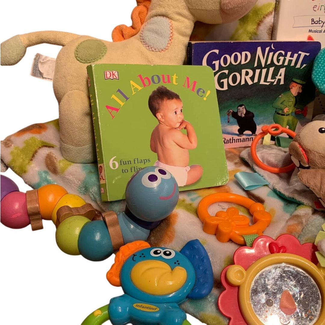 Zoo Safari Animal Hedgehog Giraffe Baby Einstein Book Kids Baby Plush Toy Lot