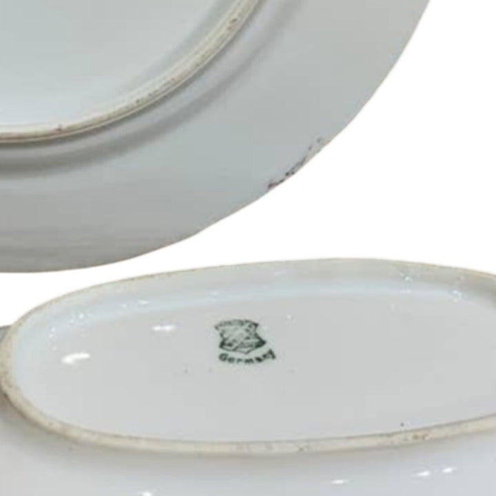 Vintage Versailles Bavaria Germany Porcelain Ceramic Berry Botanical Plate Dish
