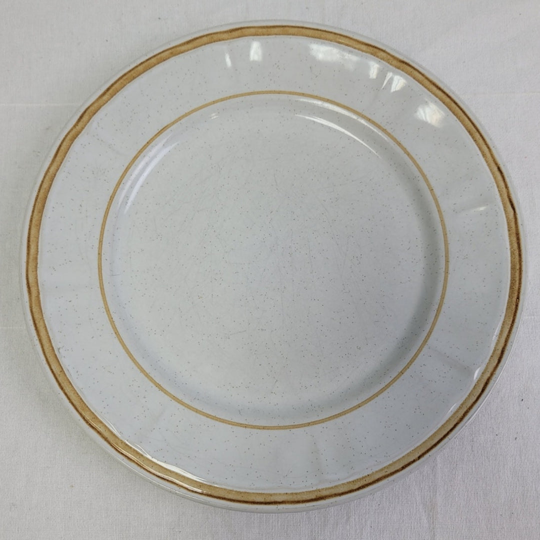 2 Vintage Pebble Stone American Hearthside Floral 10" Dinner Plates w Chip