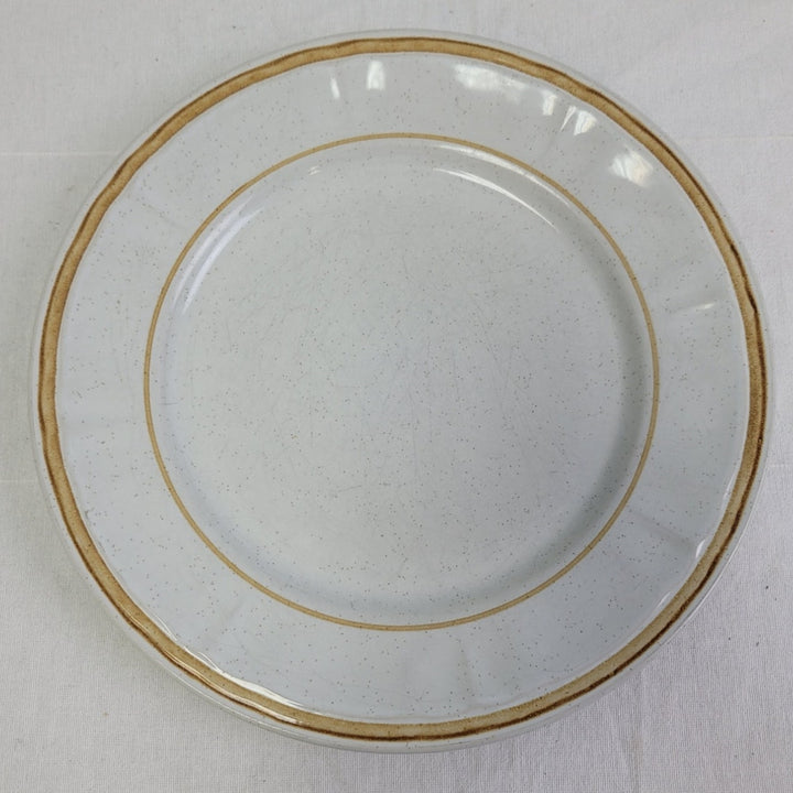 2 Vintage Pebble Stone American Hearthside Floral 10" Dinner Plates w Chip