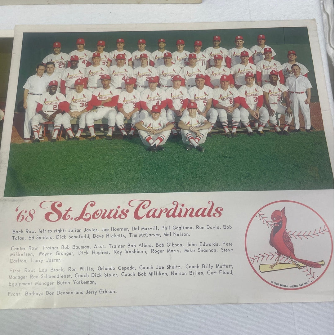 Vintage 1964 1968 1969 St Louis Baseball Cardinals Official Team Photos