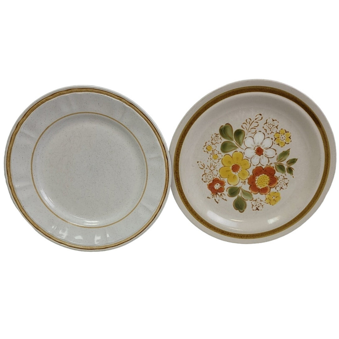 2 Vintage Pebble Stone American Hearthside Floral 10" Dinner Plates w Chip