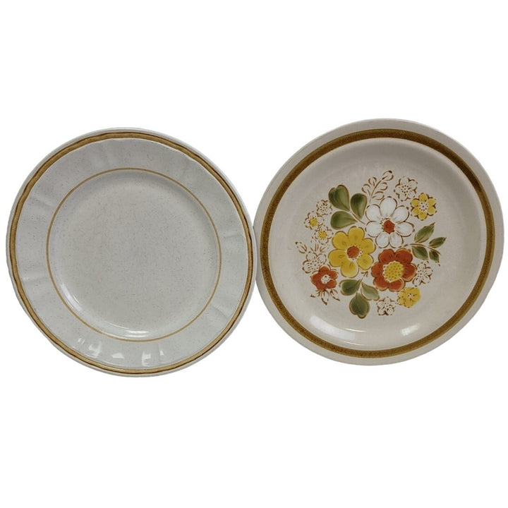 2 Vintage Pebble Stone American Hearthside Floral 10" Dinner Plates w Chip