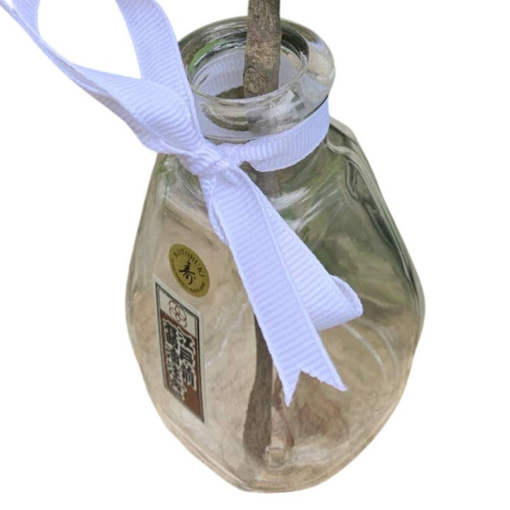 Handmade Single Purple Love Gift Silk Rose Upcycled Necktie Mini Glass Vase Gift