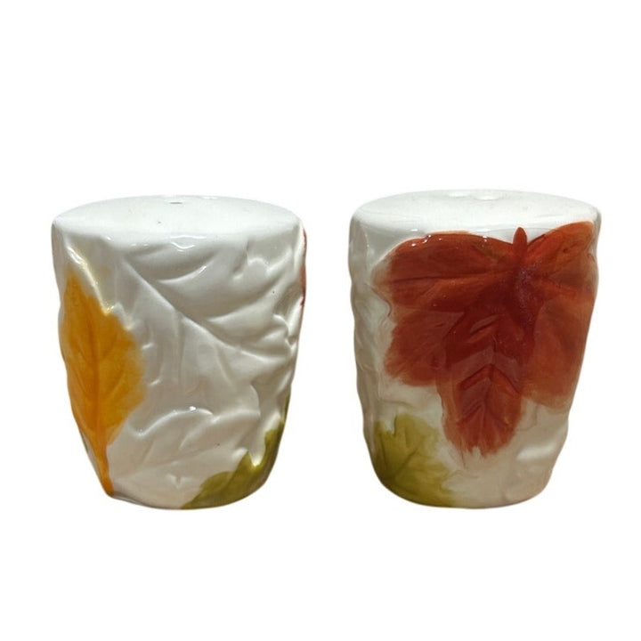 Vintage Red Green Gold Yellow Fall Leaf White Ceramic Salt &amp; Pepper Shaker Set