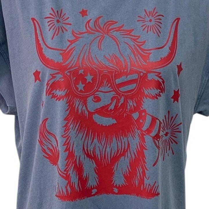 Upcycled Hand Printed Womens Medium Sunglasses Highland Cow Fireworks Dress
