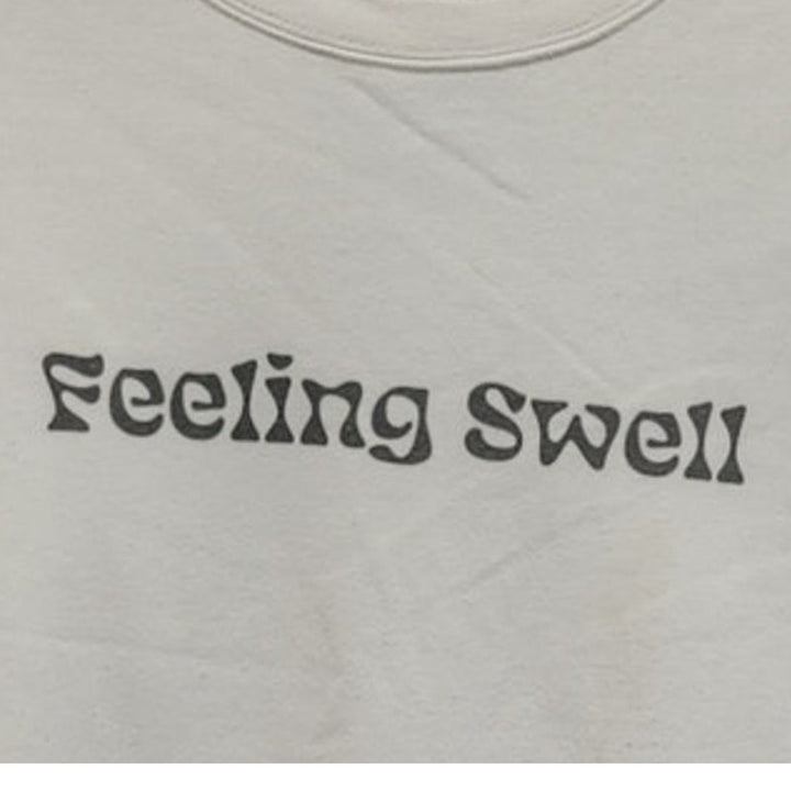 Feeling Swell Mens Large PolyCotton Long Sleeve Crew Neck Pullover Sweatshirt