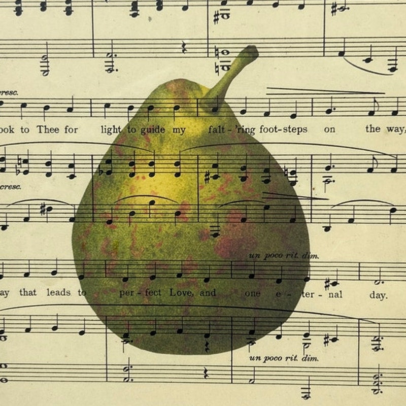 Upcycled Dark Academia Pear Printed on Vintage Sheet Music Wood Frame w Glass