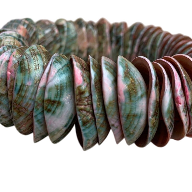 New Iridescent Pink Green Brown Cockle Shell Stretch Bracelet Red Gift Box