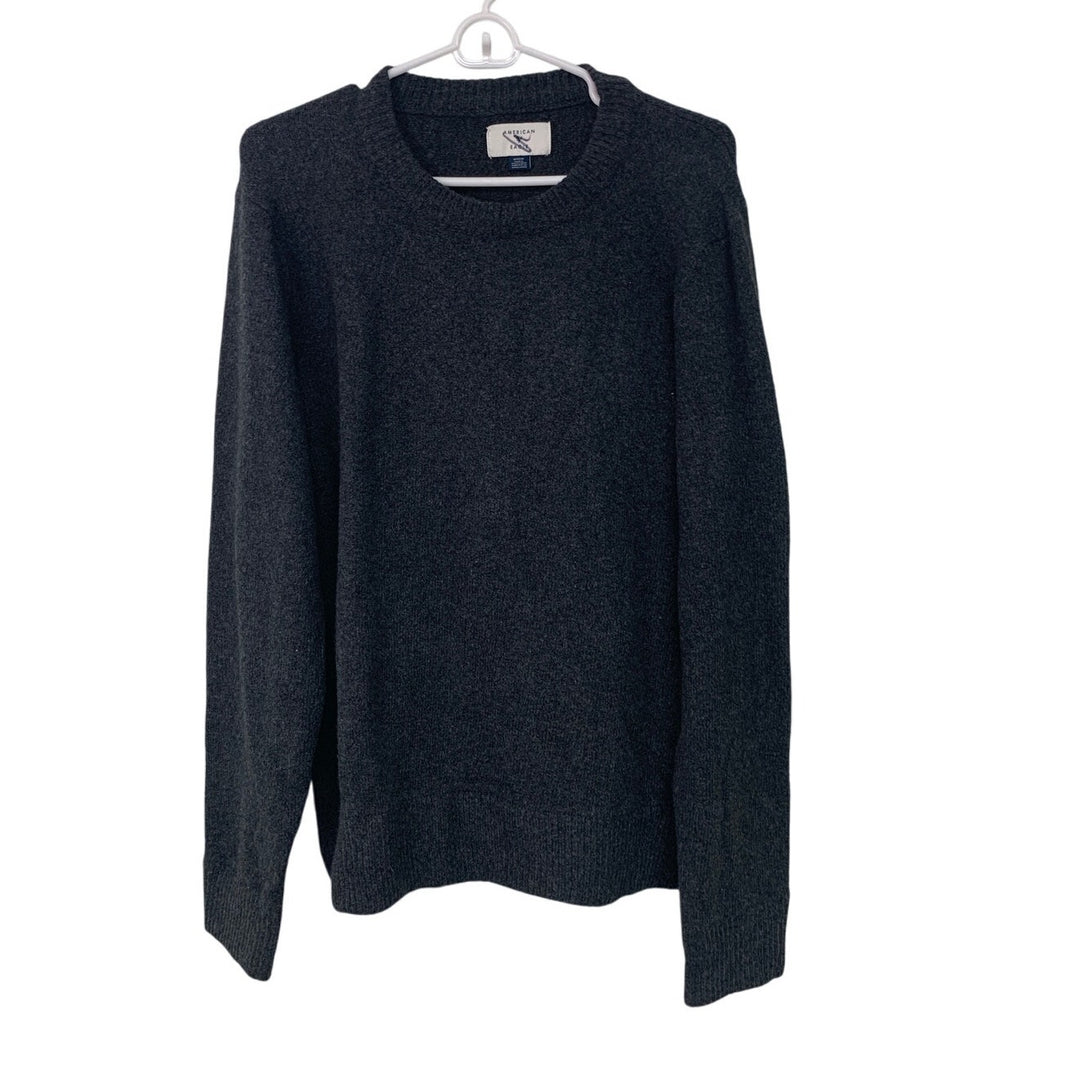 New American Eagle Mens Medium Cotton Blend Long Sleeve Crew Neck Knit Sweater