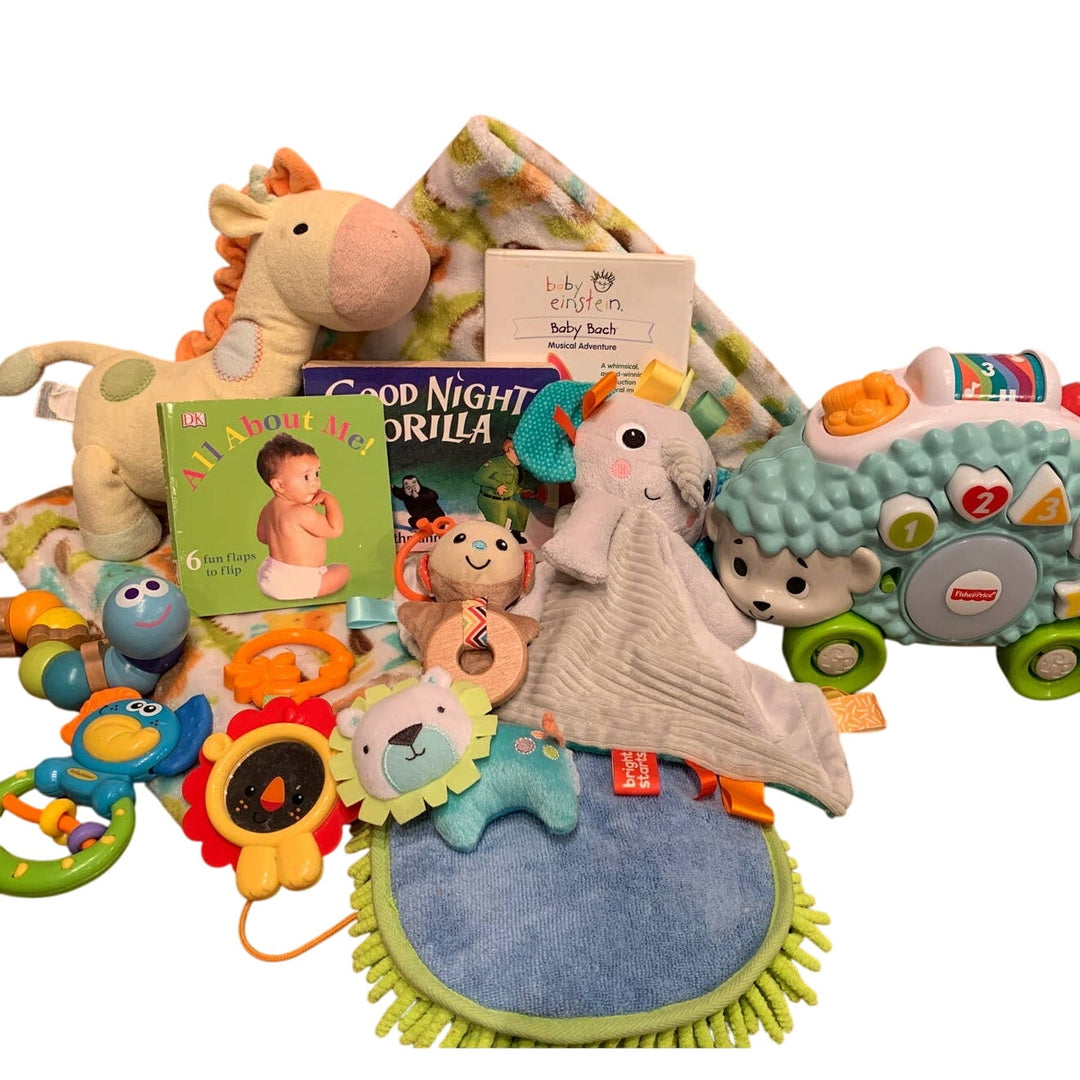 Zoo Safari Animal Hedgehog Giraffe Baby Einstein Book Kids Baby Plush Toy Lot