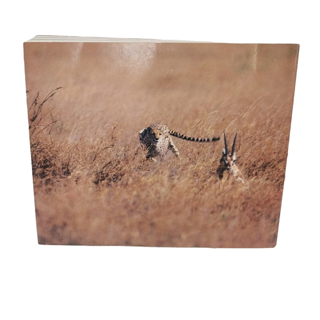 Vintage 1986 Serengeti Natural Order on the African Plain by Mitsuaki Iwago Book
