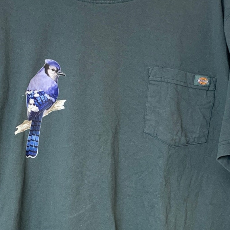 Upcycled Hand Printed Mens 2XLT Blue Jay Bird Short Sleeve Tee Shirt w Pocket