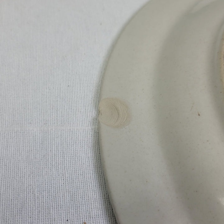 2 Vintage Pebble Stone American Hearthside Floral 10" Dinner Plates w Chip