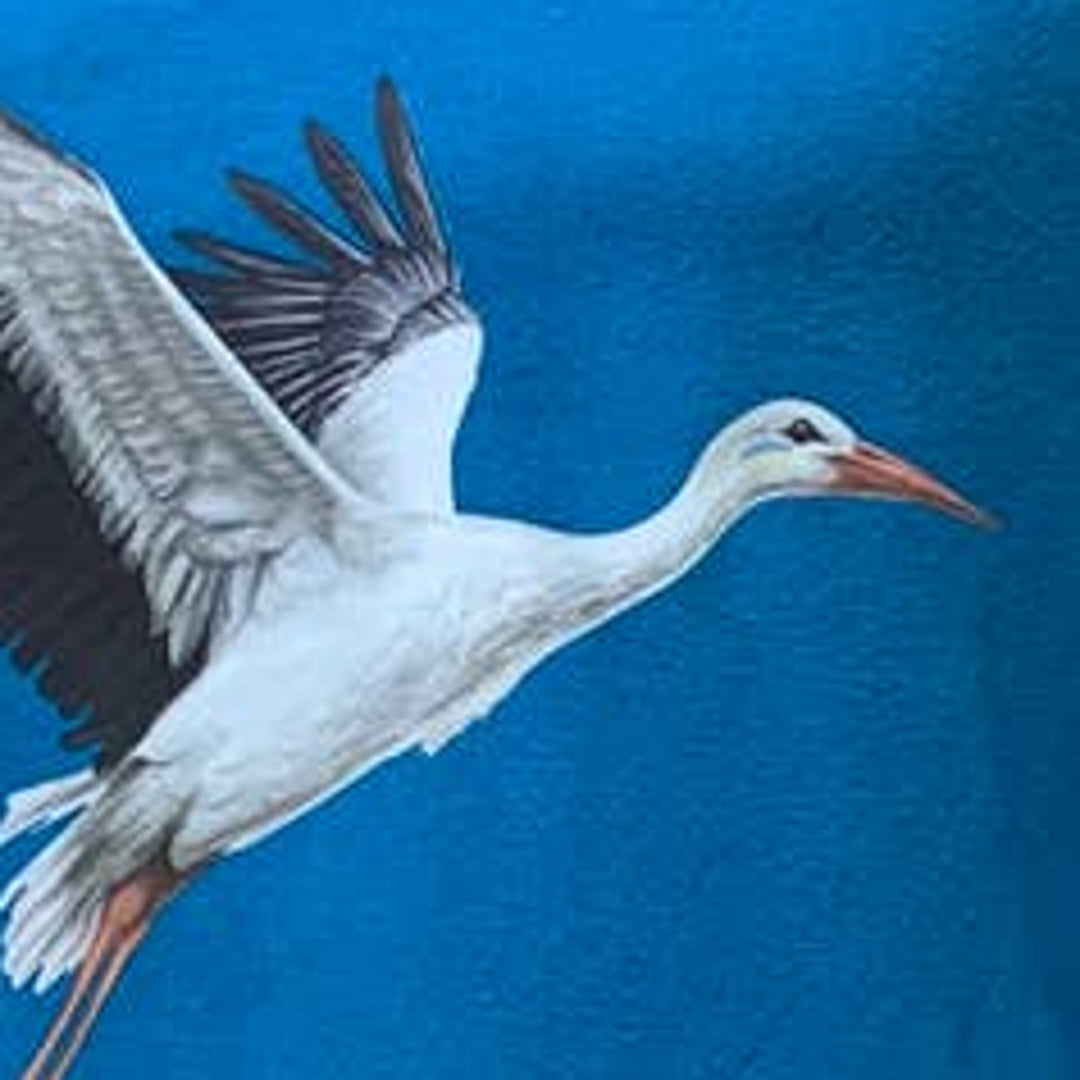 Upcycled Hand Printed Womens Large Ukraine Flag Stork Bird Peace Fundraiser Tee