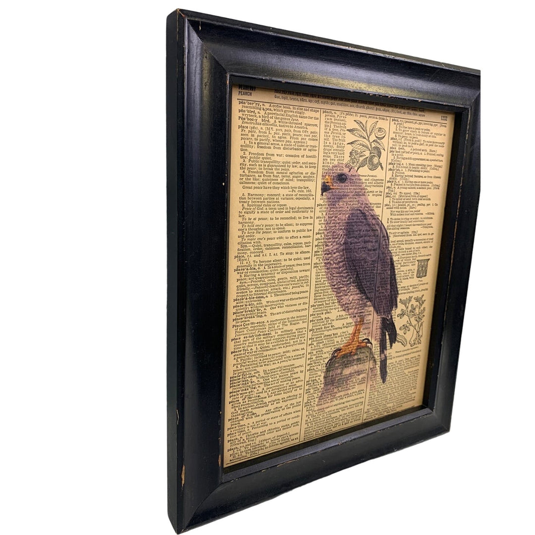 Handmade Upcycled Gray Hawk Bird Printed on Vintage Dictionary Page Wall Art