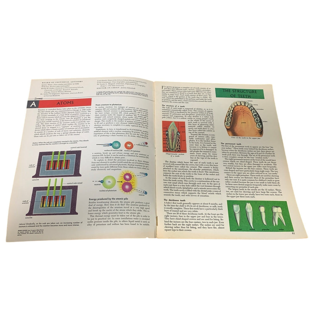 Vintage 1963 Knowledge No 6 Vol 1 Atoms Teeth London Leaves Paperback Magazine