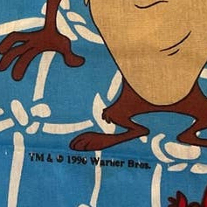 Vintage 1996 Warner Bros Taz Sylvester Tweety Daffy Bugs Bunny Curtain Valance