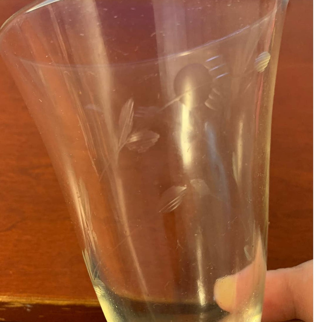 2 Vintage Delicate Glass Flower w Leaves Stemmed Drinking Water Glasses w Chip