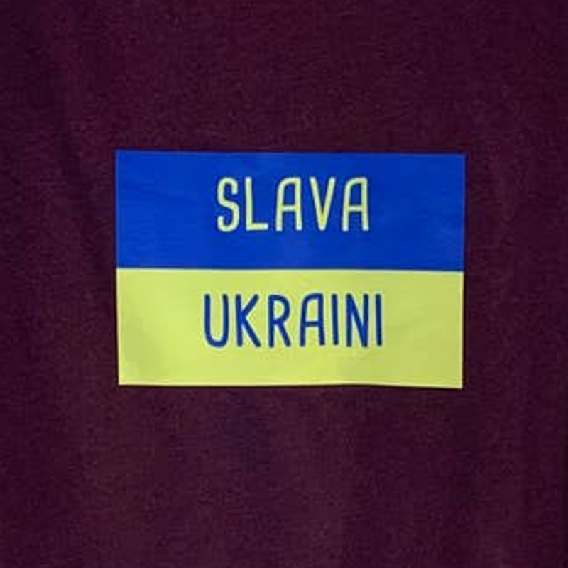 Upcycled Hand Printed Small Pink Robin Ukraine Flag Slava Ukraini Artist Tee