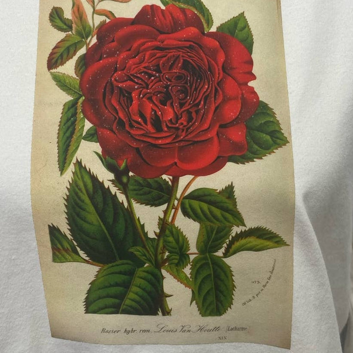 Hand Printed Upcycled Womens Small Vintage Book Page Red Rose Flower Tee Shirt