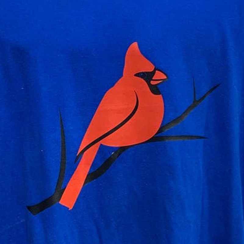 Hand Printed Upcycled Mens 4X Wingspan Inspired Red Northern Cardinal Bird Tee